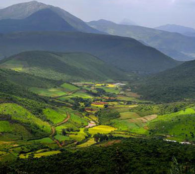 Deomali Hill